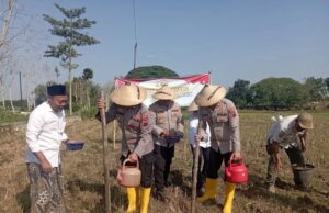 Waka Polres Blora Ajak Warga Tanam Jagung di Lahan Ponpes Darul Faqih