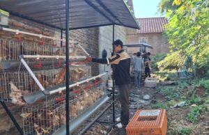 GAYATRI Tunjukkan Hasil, Warga Bojonegoro Nikmati Manfaat Peternakan Ayam
