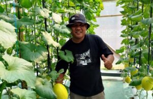 TnJ Farm Tunjungan Dorong Inovasi Pertanian Modern untuk Generasi Muda
