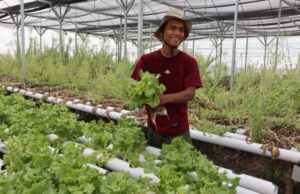 Punya 8 Greenhouse di Kapas-Bojonegoro, Fatkhul Ilma Menggerakkan Pemuda untuk Bangga Menjadi Petani
