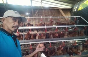 Peternak di Ngraho Rasakan Manfaat Program GAYATRI dari EMCL dan Pemerintah Desa