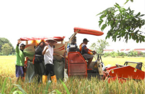 Tasyakuran Panen Raya, Bupati Bojonegoro Tekankan Pentingnya Pengelolaan Lahan dan Air