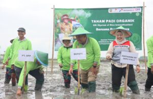 Blora Diarahkan Jadi Kabupaten Organik, Bupati Soroti Peran sebagai Lumbung Pangan