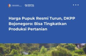 Harga Pupuk Resmi Turun, DKPP Bojonegoro: Bisa Tingkatkan Produksi Pertanian