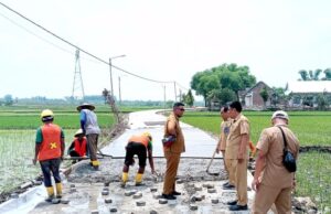 Jalan Poros Desa Tegalkodo-Sukosewu Dibangun Rigid Beton, Dorong Ekonomi Pertanian dan UMKM