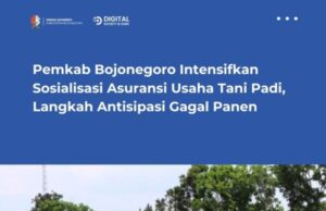 Pemkab Bojonegoro Intensifkan Sosialisasi Asuransi Usaha Tani Padi, Langkah Antisipasi Gagal Panen