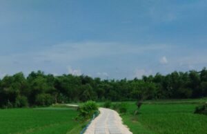Pemkab Bojonegoro Siap Bangun 163 Titik JUT Tahun 2026, Petani Lebih Mudah Bawa Hasil Pertanian