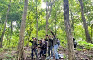 Tim Gabungan Gelar Ekspedisi Pencarian Anggrek Larat Hijau, Buktikan Kekayaan Hayati di Hutan Bojonegoro