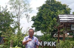Dukung Program GEMAR, Camat Blora Revitalisasi Taman PKK Jadi Percontohan Ketahanan Pangan