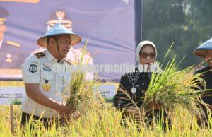 Rutan Blora Didorong Produksi Padi Organik, Targetnya Tembus Jakarta