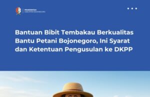 Bantuan Bibit Tembakau Berkualitas Bantu Petani Bojonegoro, Ini Syarat dan Ketentuan Pengusulan ke DKPP
