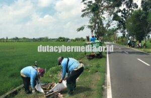 DLH Bojonegoro Terus Sisir Sampah Liar Sepanjang Jalan, Imbau Warga Tak Buang Sampah Sembarangan