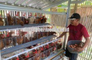 Pemkab Bojonegoro Menyiapkan Beberapa Skema untuk Membantu Peternak Ayam GAYATRI