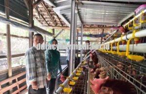 TP PKK Bojonegoro Fokus Penguatan Ketahanan Keluarga, Sinergi Program Gayatri hingga Pengelolaan Sampah