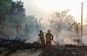 Tim Damkarmat Bojonegoro Gerak Cepat Padamkan Kebakaran Tiga Rumah di Ngraho