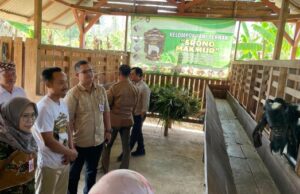 Inovatif dan Mandiri, Kelompok Ternak Srono Makmur Desa Sumberbendo Masuk Daftar Penilaian Jawa Timur