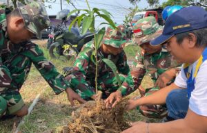 Peringati HUT ke-81 TNI, Kodim 0721/Blora Tanam 1.000 Pohon di Embung Sendangsari
